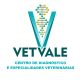 LOGO - VET VALE_braço